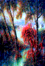 BETULLE (1999) - Olio Materico - cm. 100x80 - Fiera di Padova 2001 - £. 19.000.000